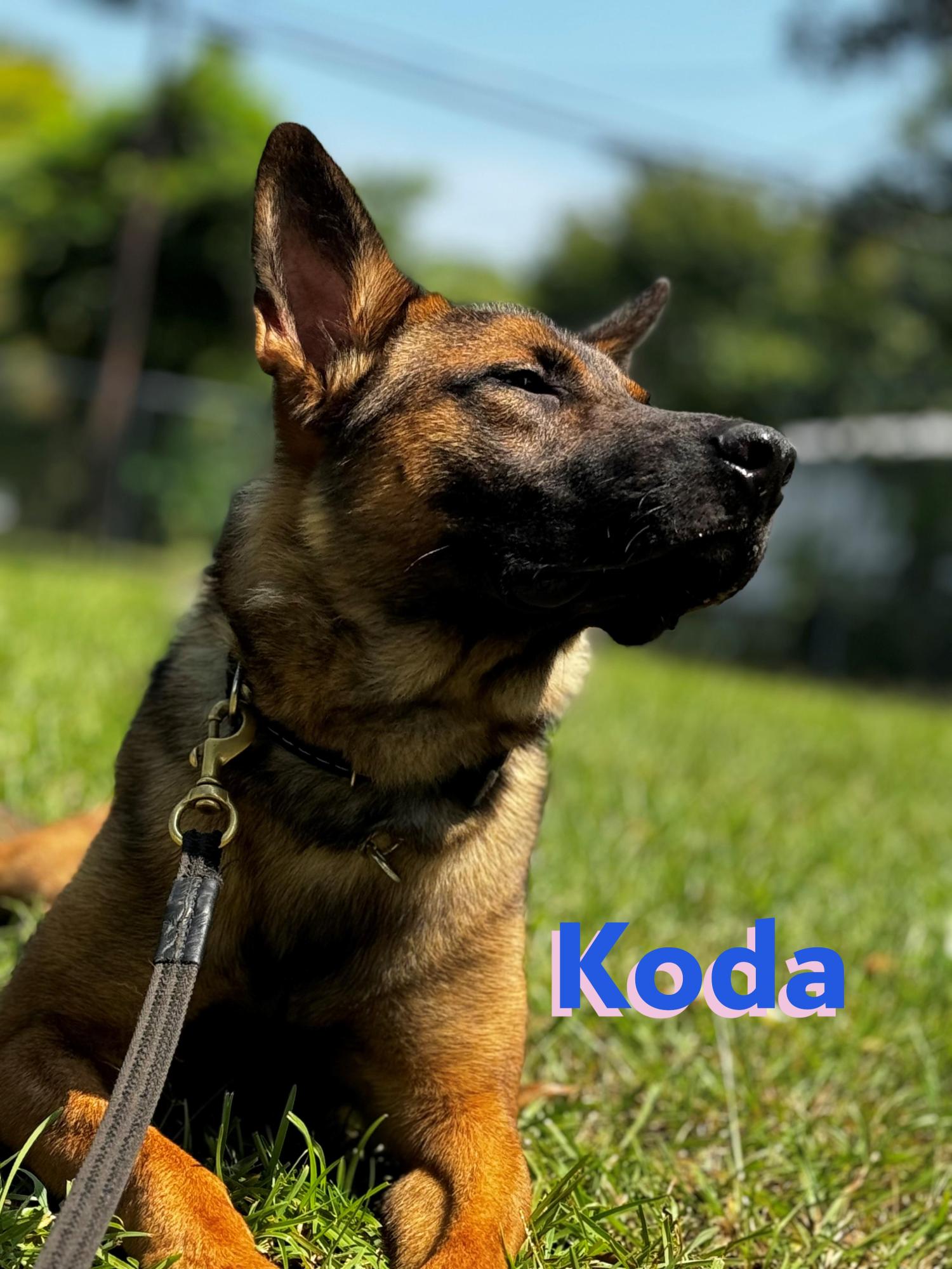 koda