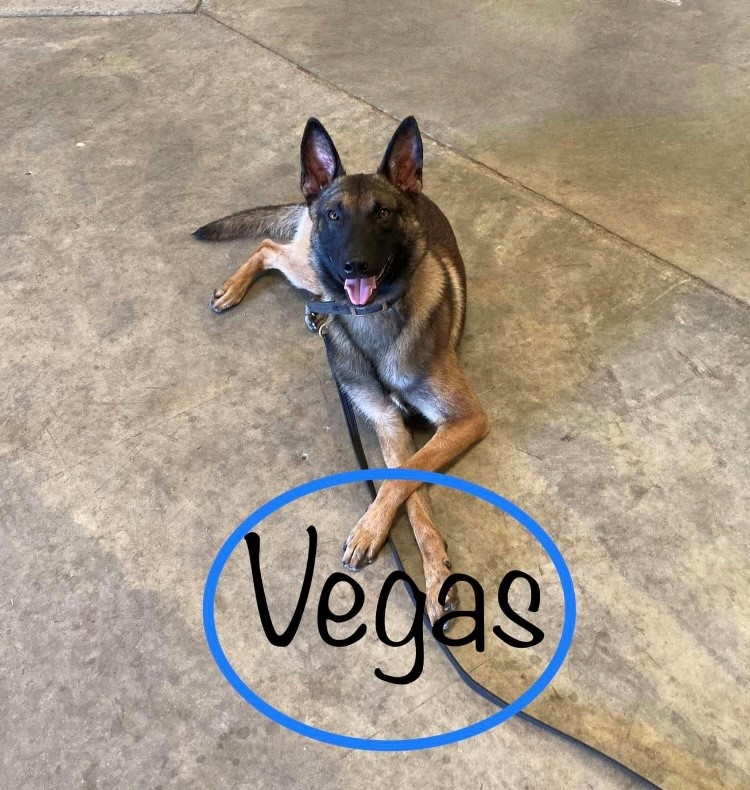 vegas